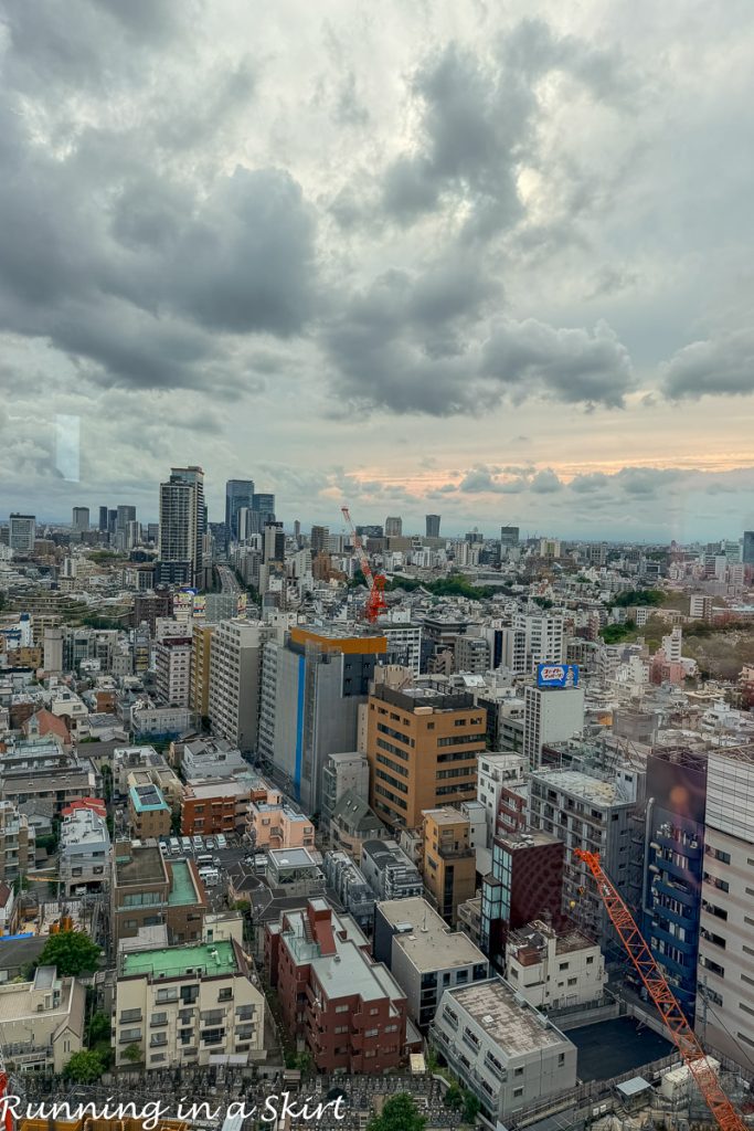 Top Things to do in Tokyo Japan skyline