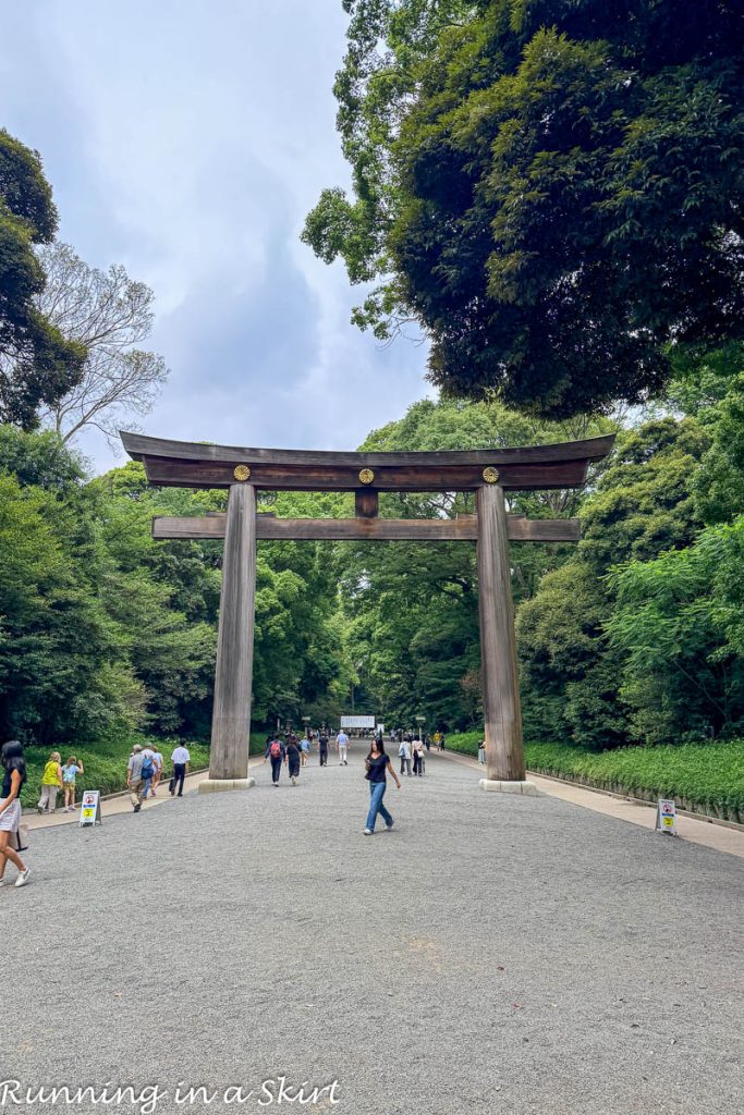Top Things to do in Tokyo Japan