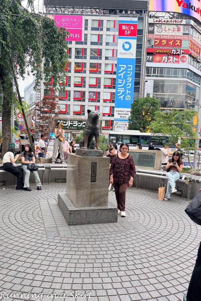 Top Things to Do in Tokyo Japan