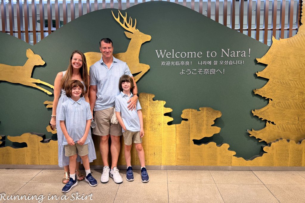 Top Things to Do in Kyoto - Nara Day Trip